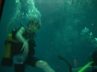 scuba diving 03/2005